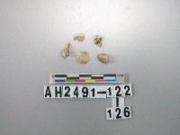 藏品(玉料)的圖片